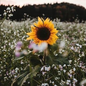 Meet your Posher, Angie